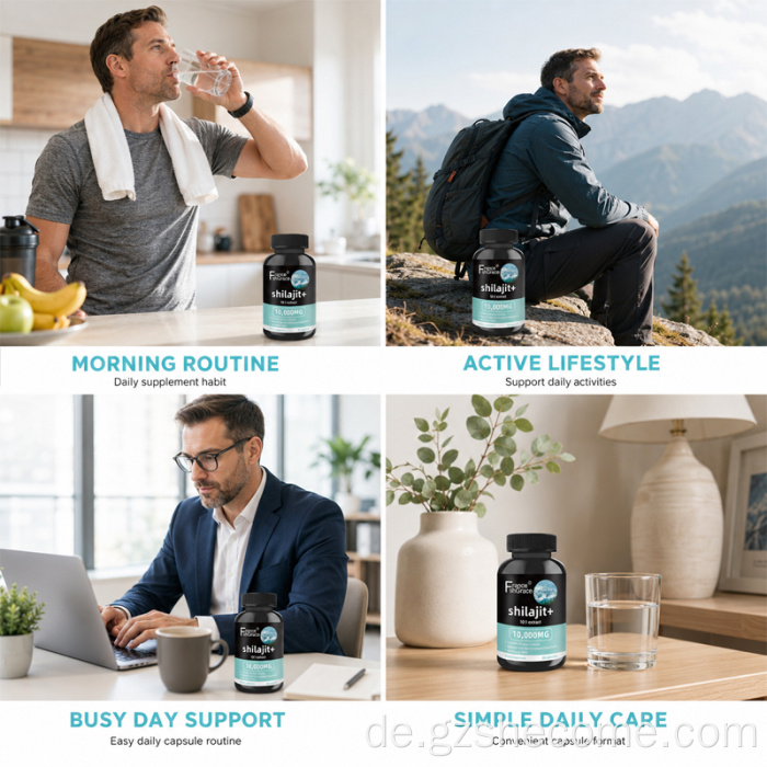 Shecome Shilajit-Kapseln 10:1 extrahieren unterstützende Energie